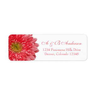 Coral Gerbera Daisy Bröllop Return-adressetikett Returadress Etikett