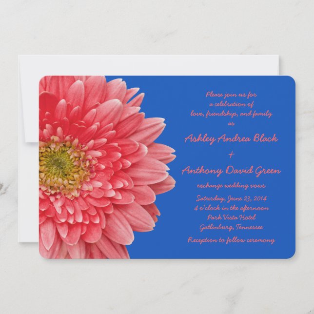 Coral Gerbera Daisy Royal Blue Wedding bjudande Inbjudningar (Framsida)