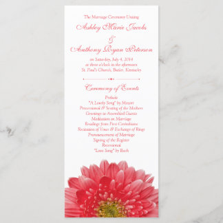 Coral Gerbera Daisy White Bröllopsprogram Program
