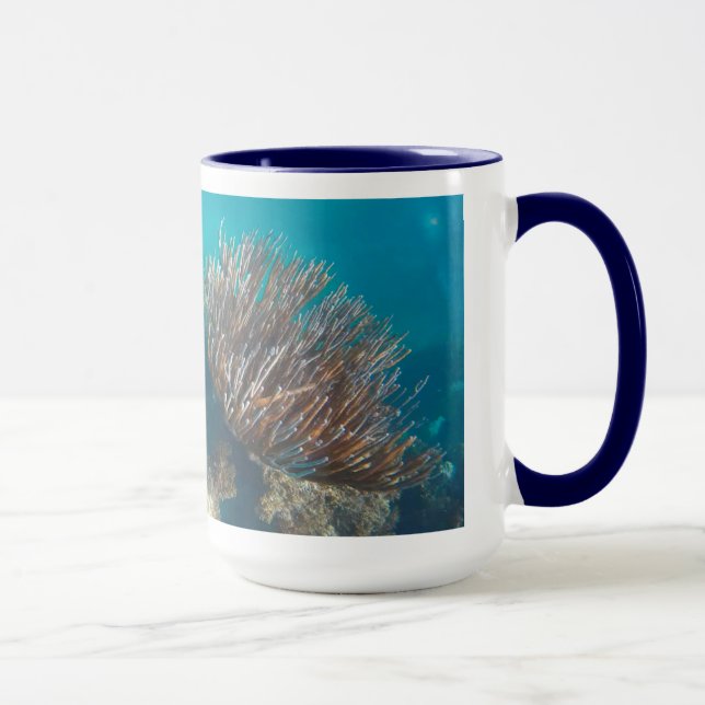 CORAL MUGG (Höger)