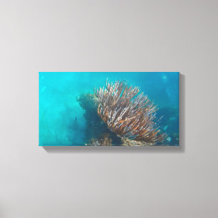 CORAL ON CANVAS 20 ’x 16’