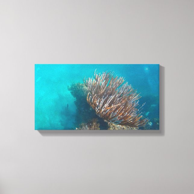 CORAL ON CANVAS 20 ’x 16’ (Framsida)