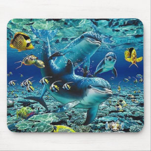 coral_pals_dolphins_1B rullar All över mig Musmatta