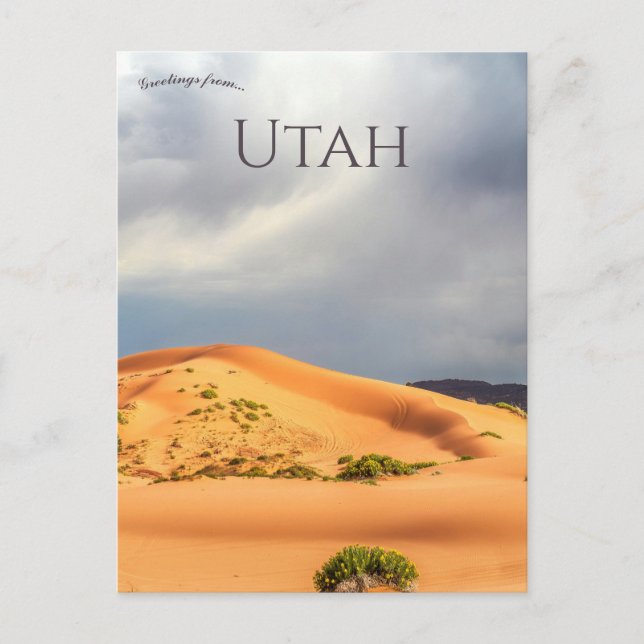 Coral Pink Sand Dunes State Park i Utah Vykort (Framsida)
