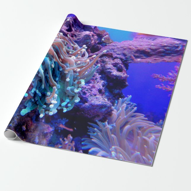 Coral reef blue lila sea anenome presentpapper (Utrullad)