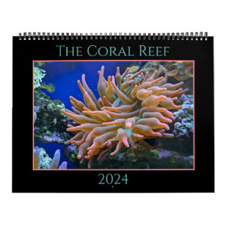 Coral Reef Calendar Kalender
