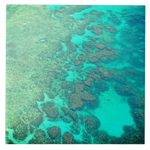 Coral reef ceramic turcoise Sea vatten Kakelplatta