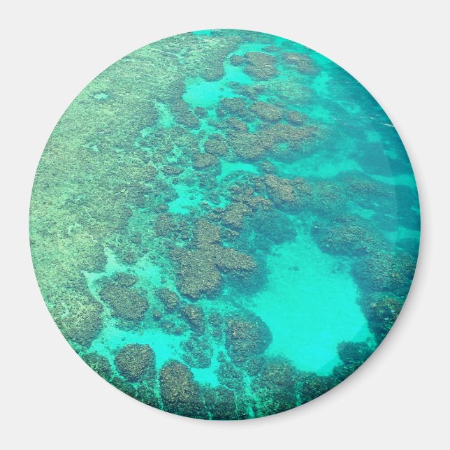Coral Reef magnet (Framsidan)