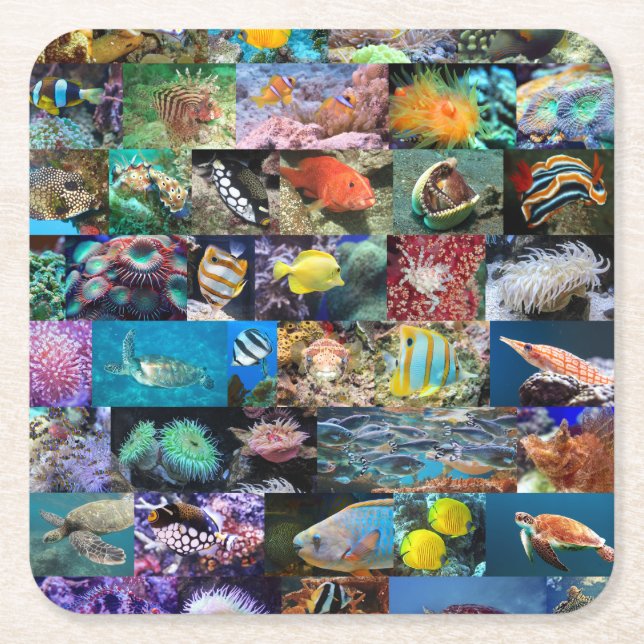 Coral Reef Marine Life: Fish and Animals Photos Underlägg Papper Kvadrat (Framsidan)