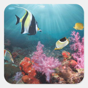 Coral Reef Scenery Moorish Idol Fyrkantigt Klistermärke
