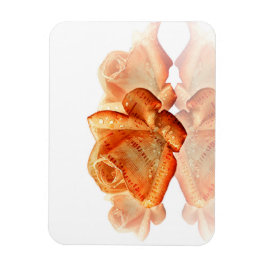 Coral Ro Blommar med Lakan Music Magnet