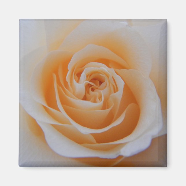 Coral Ro Magnet (Framsidan)