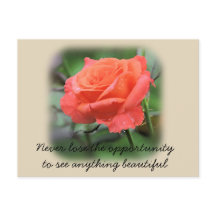 Coral Ro med regndroppar