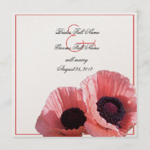 Coral Rosa Poppies