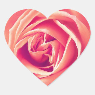 Coral rosa ros-utskrift hjärtformat klistermärke