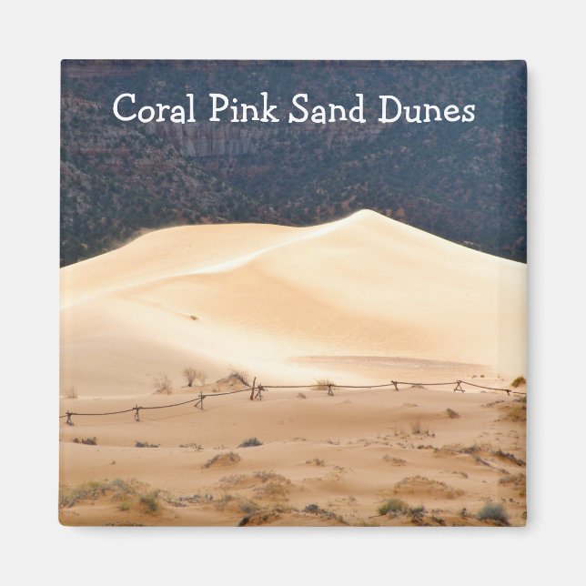 Coral Rosa Sand Dunes Magnet (Framsidan)