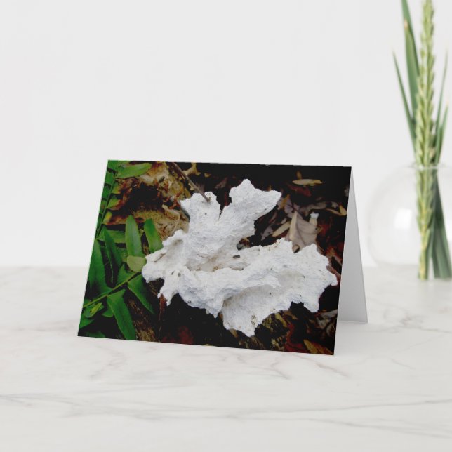 Coral Shelf Fungus Note Card Helgkort (Framsida)