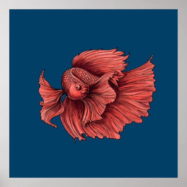 Coral Siamese fighting fish Poster (Framsidan)