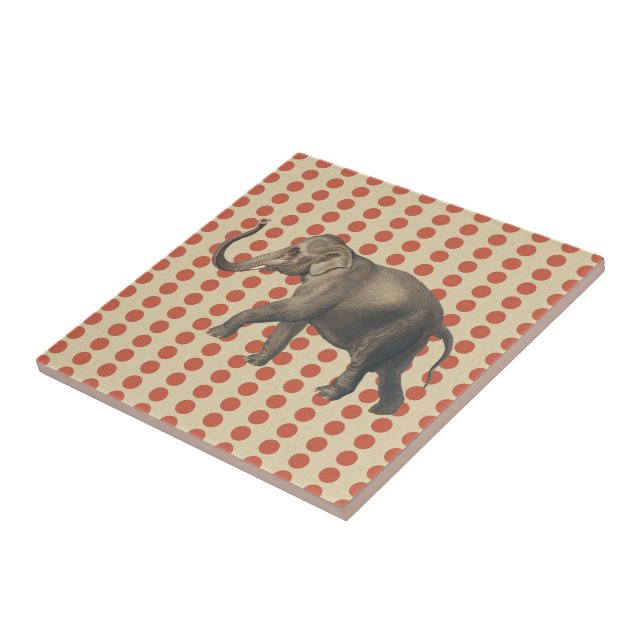 Coral Spice Moods Dots med Elephant Kakelplatta (Sidan)