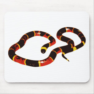 Coralillo Snake Musmatta