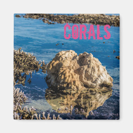 Corals reef at low tide le morne mauritius gift magnet