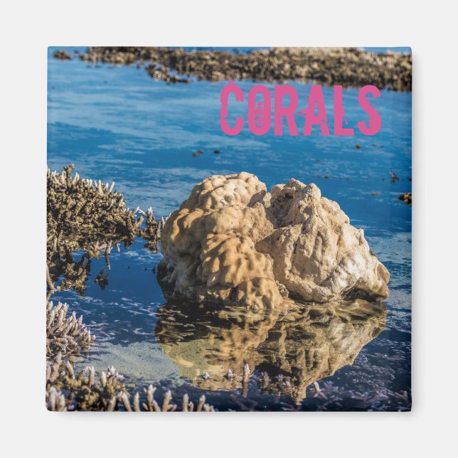 Corals reef at low tide le morne mauritius gift magnet (Framsidan)