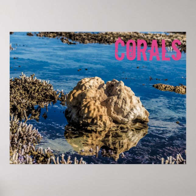 Corals reef at low tide le morne mauritius gift poster (Framsidan)