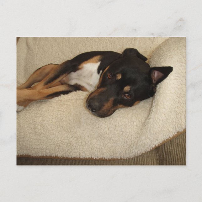 Corby Vykort (Framsida)