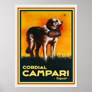 Cordial Campari Liquor Print 12 x 16 Poster