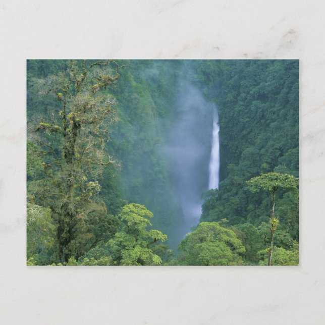 Cordillera Central, Angel Congo) Falls, många Vykort (Framsida)