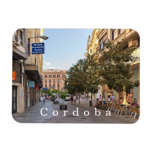 Cordoba. #20. magnet