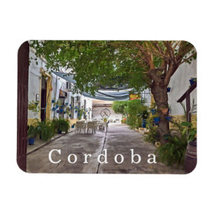 Cordoba. 30. magnet