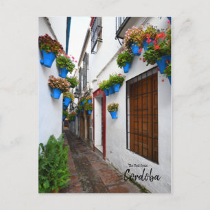 Cordoba Alleyway - Spanien Vykort