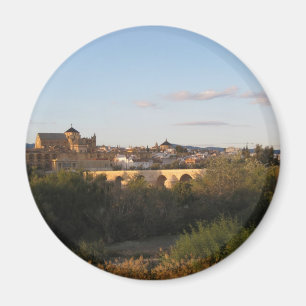 Cordoba från Afar Magnet