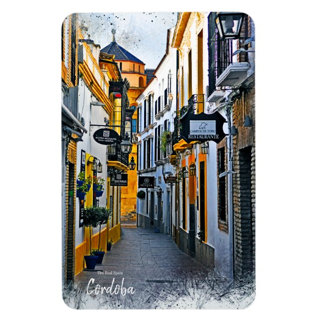 Cordoba Street -Spanien vykort Magnet (Vertikal)