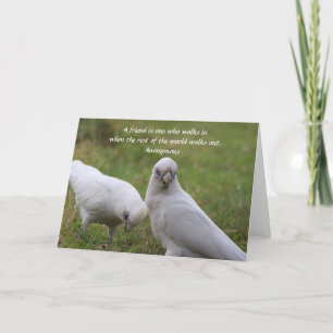 Corella Vänskap Citat Välkomstkort Tack Kort
