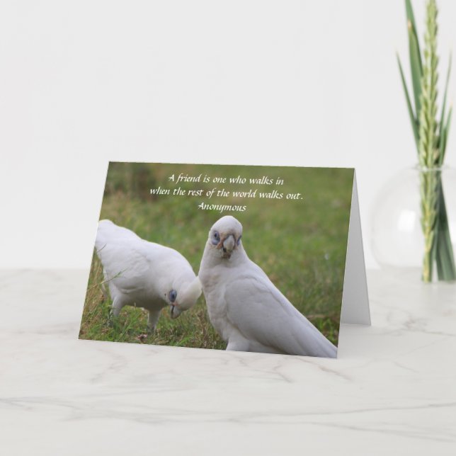 Corella Vänskap Quote Greeting Card Tack Kort (Framsida)