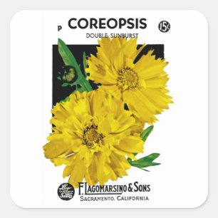 Coreopsis Fyrkantigt Klistermärke