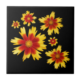 Coreopsis Guld och Bronze Tickseed Flower Medley Kakelplatta