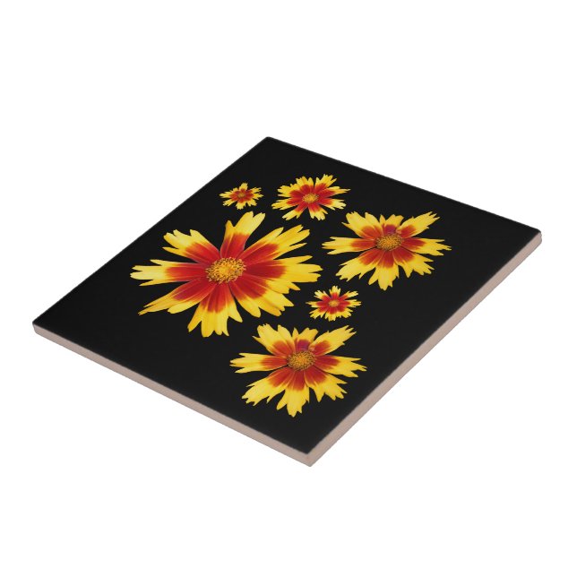 Coreopsis Guld och Bronze Tickseed Flower Medley Kakelplatta (Sidan)