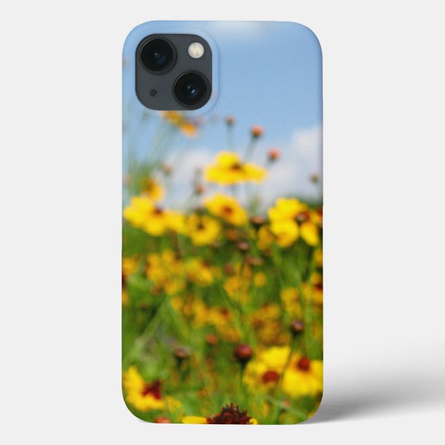 Coreopsis Wildblomme Meadow (Baksida)