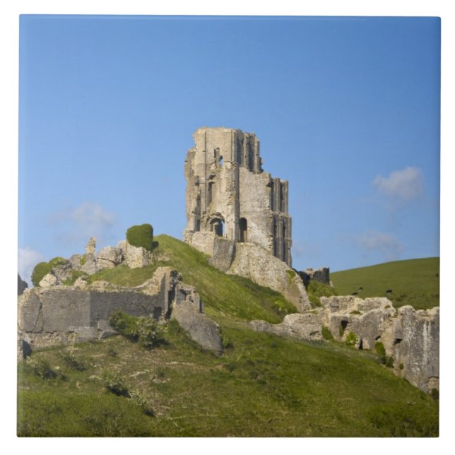 Corfe Castle, Corfe, Dorset, England Kakelplatta (Framsidan)