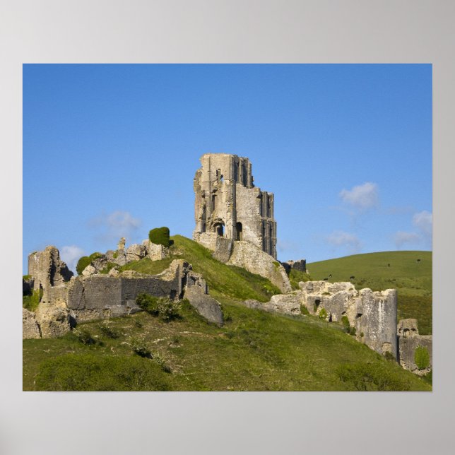 Corfe Castle, Corfe, Dorset, England Poster (Framsidan)