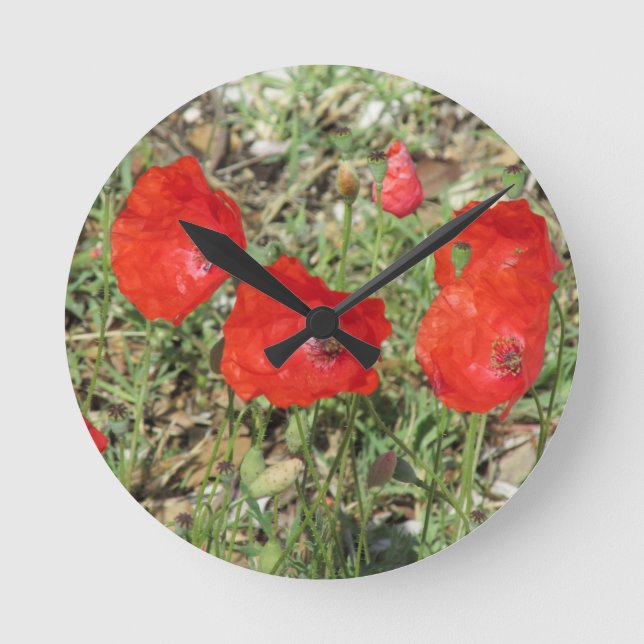 Corfu Red Poppies Rund Klocka (Framsida)