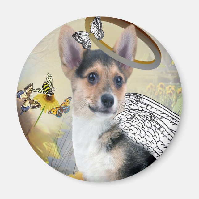 Corgi Angel Magnets Magnet (Framsidan)