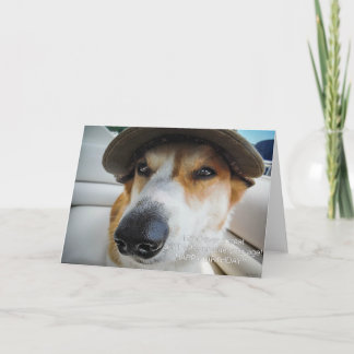 Corgi begär att få födelsedagskort kort