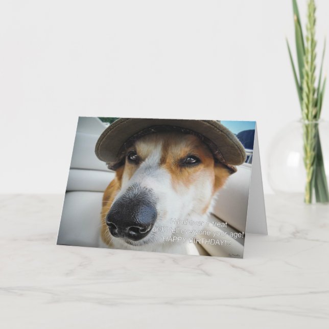 Corgi begär att få födelsedagskort kort (Framsida)