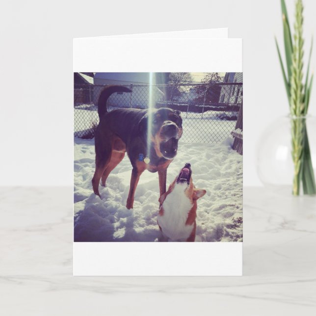 Corgi Best Friend Birthday Card Kort (Framsida)