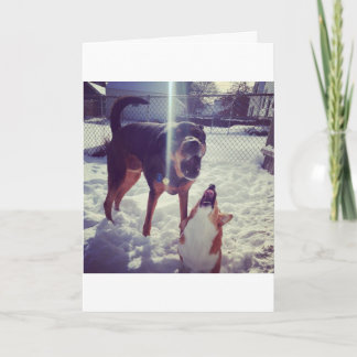 Corgi Best Friend Birthday Card Kort