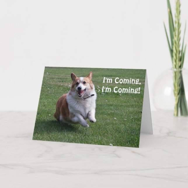 Corgi Birthday Card Kort (Framsida)